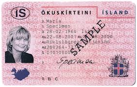 Deutsche Führerschein Für Ausländer